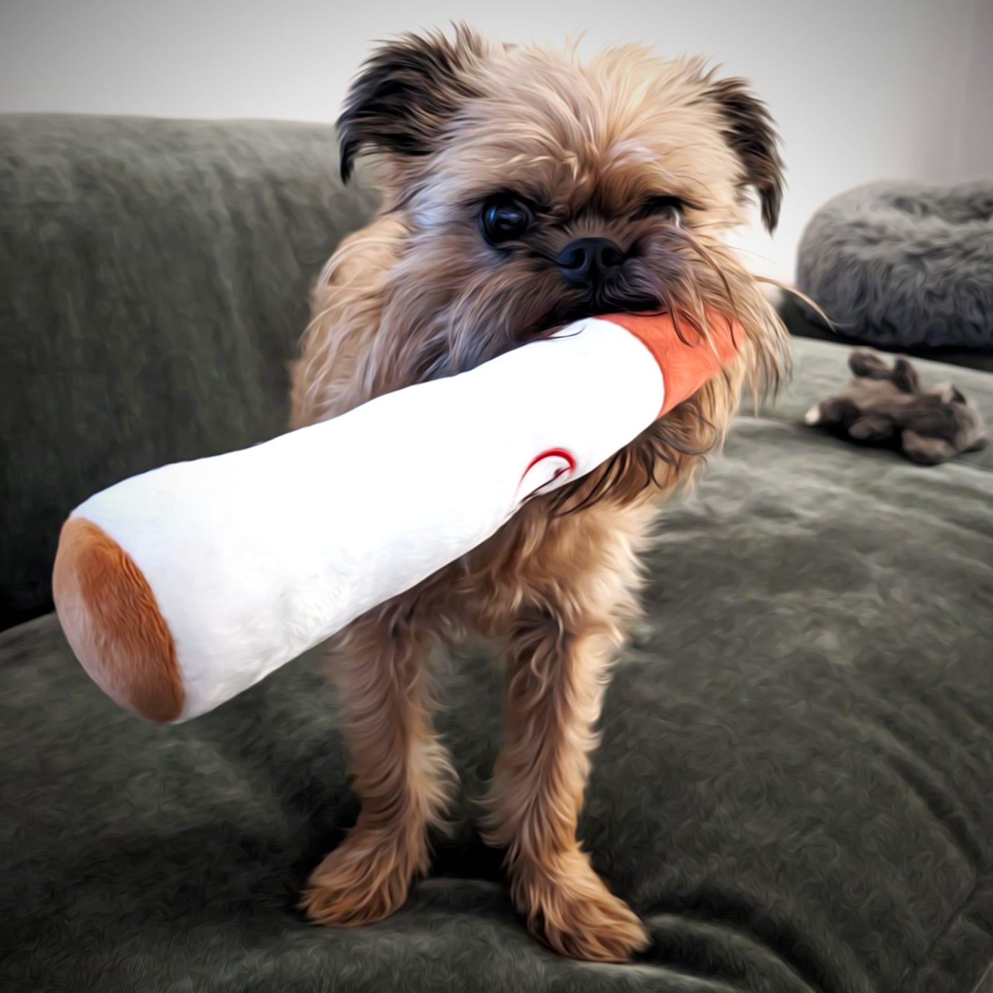 Squeaky Plush Cigar Toy