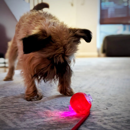 Smart Interactive Pet Ball